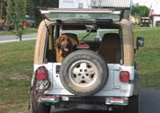 Tax deductible donations goes to help bloodhound trailing training and search and rescue purposes